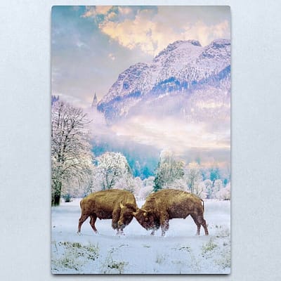 Bison Fighting in Snow | Digital Art Metal Print